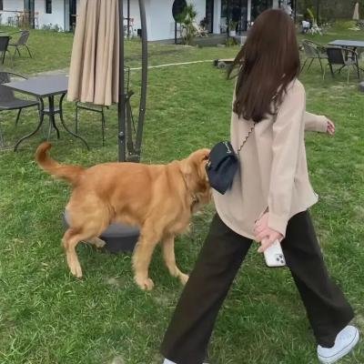 治愈温情